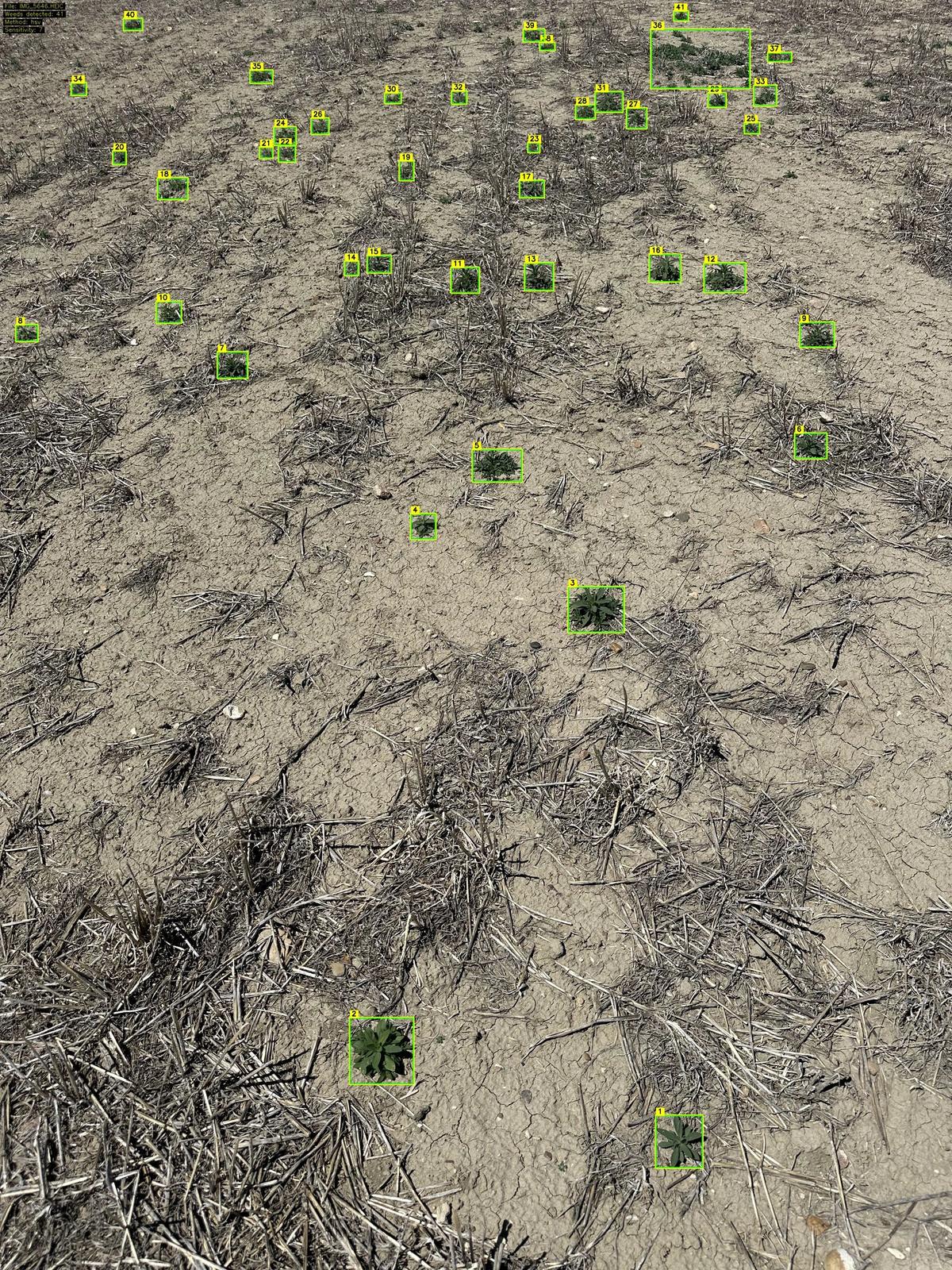 FarmDefender weed detection — bounding boxes overlaid on field imagery showing identified weed targets