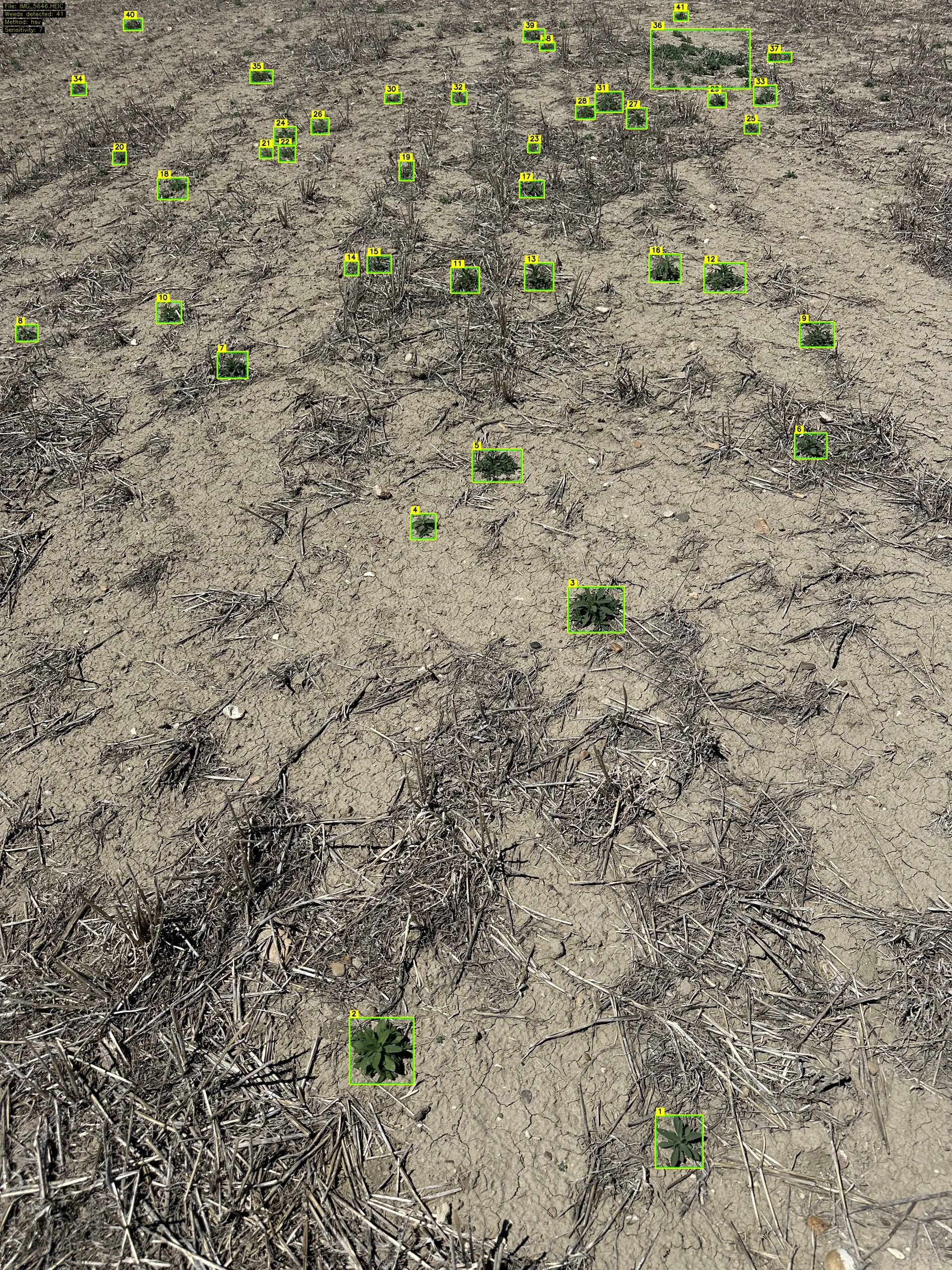 FarmDefender weed detection — bounding boxes overlaid on field imagery showing identified weed targets